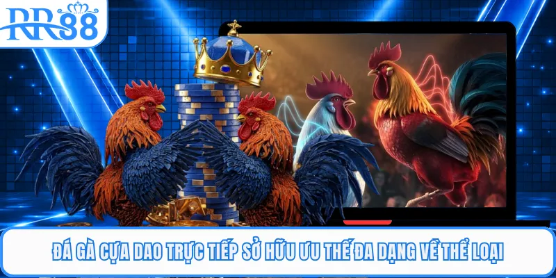 Đá gà cựa dao trực tiếp sở hữu ưu thế đa dạng về thể loại